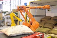 Cognitive Robot for Automation of Logistic Processes