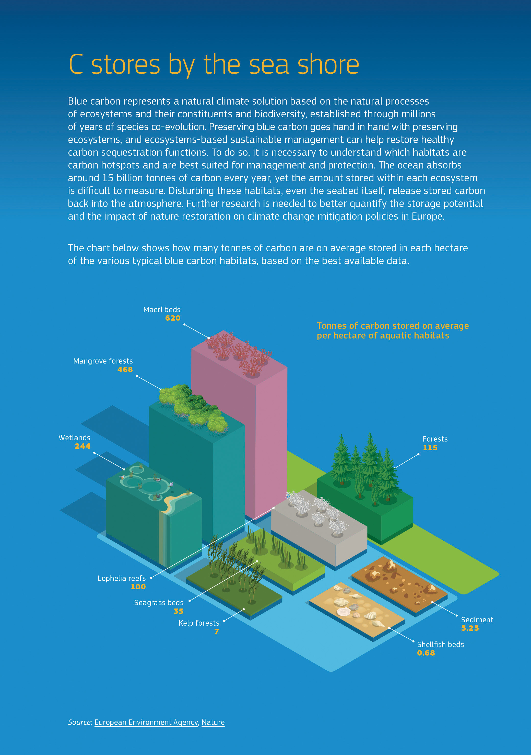 Ecosystems-based sustainable management can help restore healthy carbon sequestration. Disturbing these habitats, even the seabed itself, releases stored carbon back into the atmosphere. The infographic shows how many tonnes of carbon on average are stored in each hectare of various blue carbon habitats, based on the best available data. Maerl beds: 620 tonnes per hectare. Mangrove forests: 468; Wetlands: 244; Lophelia reefs: 100; Seagrass beds: 35; Kelp forests: 7; Sediment: 5.25; Shellfish beds: 0.68. By way of comparison, forests store 115 tonnes of carbon per hectare on average. Ecosystems-based sustainable management can help restore healthy carbon sequestration. Disturbing these habitats, even the seabed itself, releases stored carbon back into the atmosphere. The infographic shows how many tonnes of carbon on average are stored in each hectare of various blue carbon habitats, based on the best available data. Maerl beds: 620 tonnes per hectare. Mangrove forests: 468; Wetlands: 244; Lophelia reefs: 100; Seagrass beds: 35; Kelp forests: 7; Sediment: 5.25; Shellfish beds: 0.68. By way of comparison, forests store 115 tonnes of carbon per hectare on average.