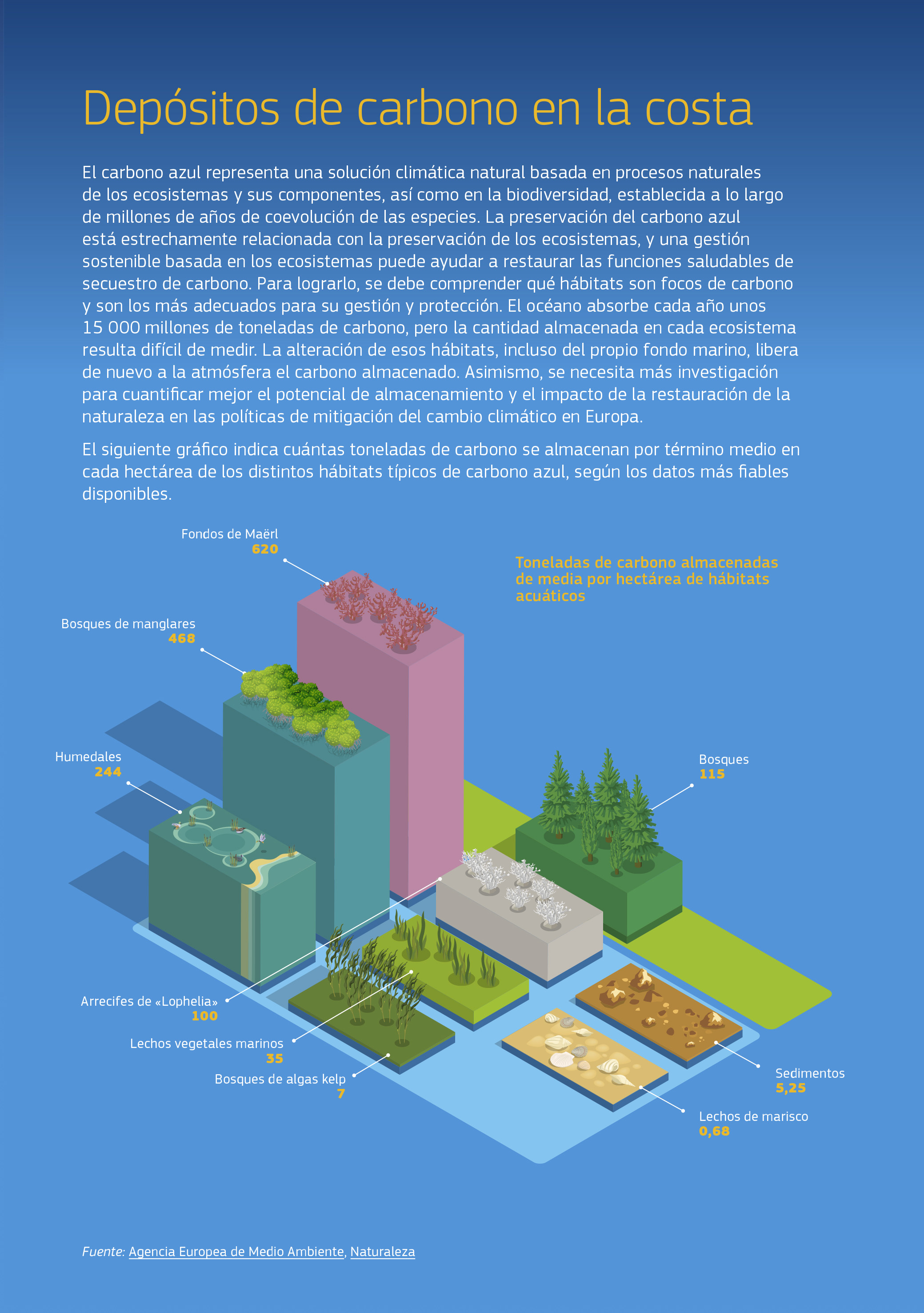 La gestión sostenible basada en los ecosistemas puede ayudar a restaurar una captura de carbono saludable. La alteración de estos hábitats, incluso la del fondo marino, libera de nuevo a la atmósfera el carbono almacenado. La infografía indica cuántas toneladas de carbono se almacenan de media en cada hectárea de diversos hábitats de carbono azul, según los datos más fiables disponibles. Fondos de Maërl: 620 toneladas por hectárea. Bosques de manglares: 468; Humedales: 244; Arrecifes de «Lophelia»: 100; Praderas marinas: 35; Bosques de algas kelp: 7; Sedimentos: 5,25; Bancos marisqueros: 0,68. En comparación, los bosques almacenan una media de 115 toneladas de carbono por hectárea. La gestión sostenible basada en los ecosistemas puede ayudar a restaurar una captura de carbono saludable. La alteración de estos hábitats, incluso la del fondo marino, libera de nuevo a la atmósfera el carbono almacenado. La infografía indica cuántas toneladas de carbono se almacenan de media en cada hectárea de diversos hábitats de carbono azul, según los datos más fiables disponibles. Fondos de Maërl: 620 toneladas por hectárea. Bosques de manglares: 468; Humedales: 244; Arrecifes de «Lophelia»: 100; Praderas marinas: 35; Bosques de algas kelp: 7; Sedimentos: 5,25; Bancos marisqueros: 0,68. En comparación, los bosques almacenan una media de 115 toneladas de carbono por hectárea.