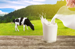 New 5-minute milk scan for dairy industry