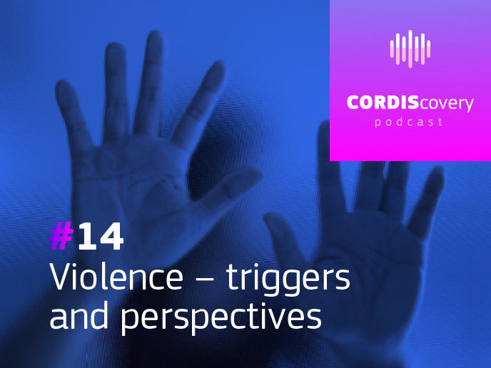 Violence triggers and perspectives