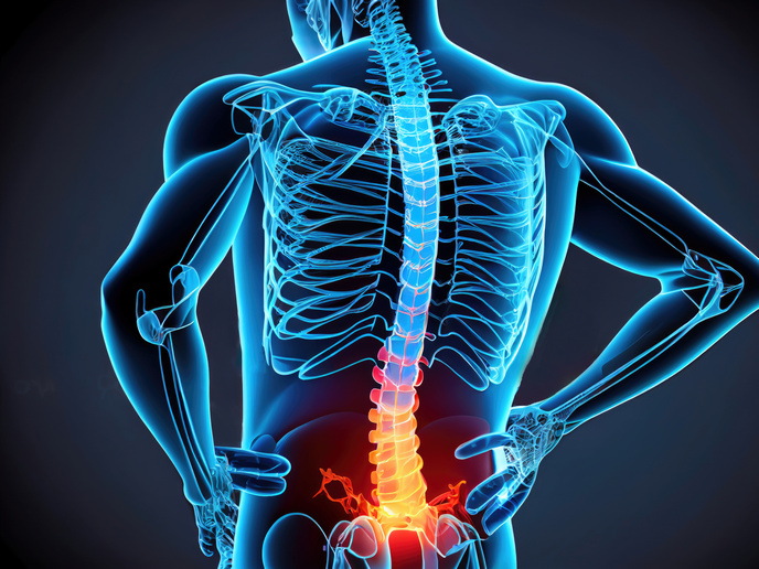 Deep Learning To The Rescue For Chronic Lower Back Pain News CORDIS Deep Learning To The Rescue For Chronic Lower Back Pain News CORDIS