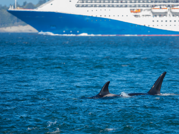 Industry leaders and researchers join the fight against underwater noise