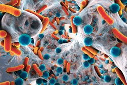 Prevenzione della formazione di biofilm | NanoQuench Project | Results in  brief | FP7 | CORDIS | European Commission