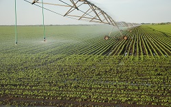 Un système d'irrigation plus intelligent et précis | FIGARO Project |  Results in brief | FP7 | CORDIS | European Commission