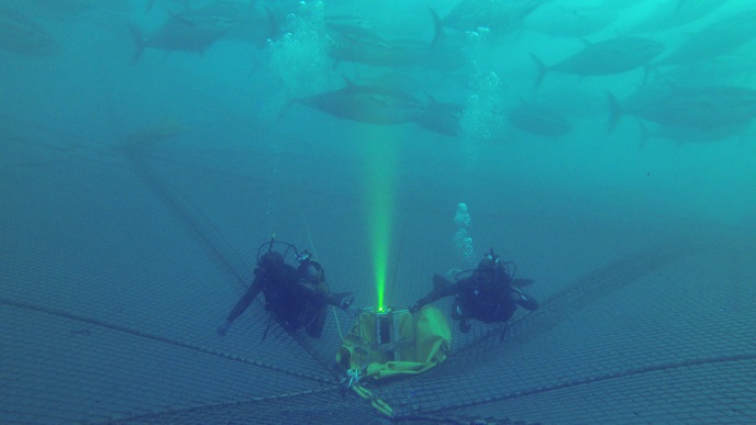 La nuova telecamera di ispezione subacquea usa la tecnologia del tempo di  volo 3D | UTOFIA Project | Results in brief | H2020 | CORDIS | European  Commission