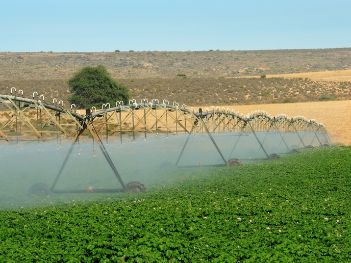 Incrementare il trattamento e il riutilizzo delle acque reflue aiuterà  l'irrigazione delle colture nelle regioni aride | MADFORWATER Project |  Results in brief | H2020 | CORDIS | European Commission