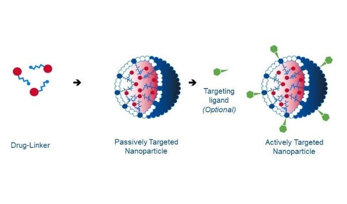 Nowa generacja nanoleków celowanych w leczeniu nowotworów i chorób  zakaźnych | INTACT Project | Results in brief | H2020 | CORDIS | European  Commission