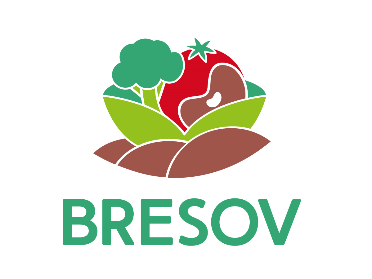 Logo BRESOV